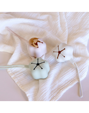 Byhappyme, Boite à tétine - étoile, Silicone, Sage