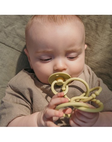 Bibs Loops