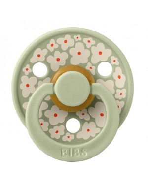 BIBS Studio Line - 2 pack,  Storlek 2 (6+ mån.), Rund - Latex,