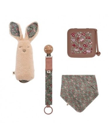 BIBS X LIBERTY, Gift set 4 items